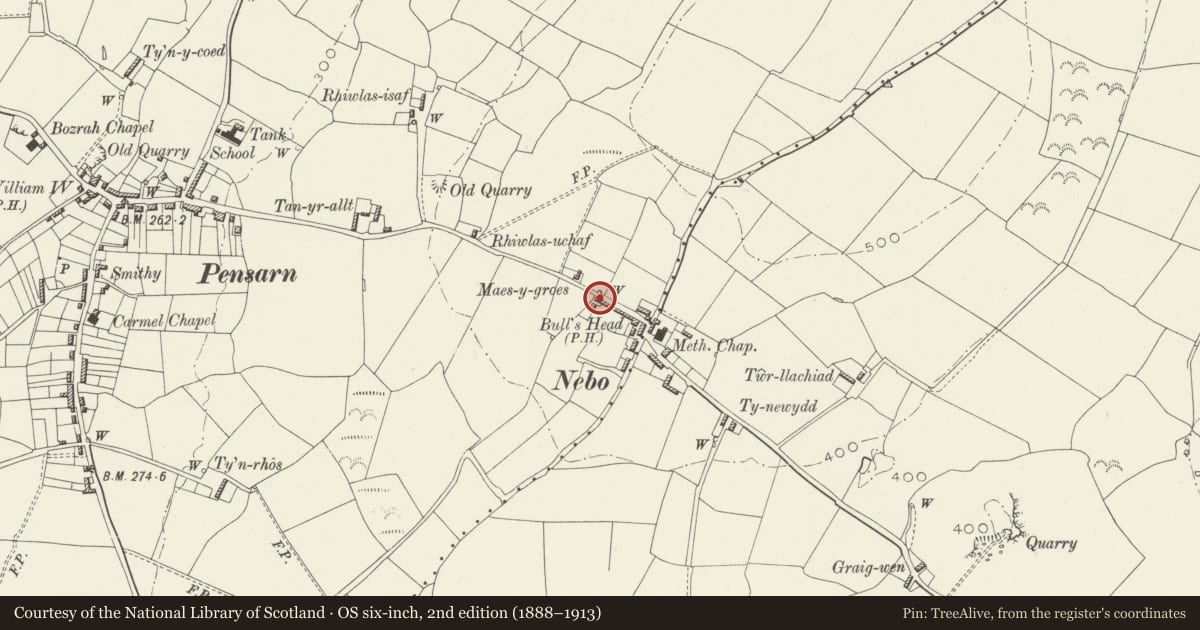 Ordnance Survey six-inch map, 2nd edition (1888–1913) covering the location of End Cottage adjoining Mynydd Adda, Llaneilian, Isle of Anglesey, with a pin at the register's coordinates