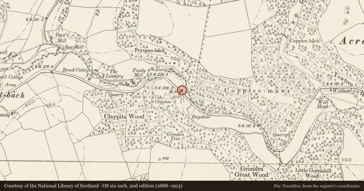 Ordnance Survey six-inch map, 2nd edition (1888–1913) covering the location of Milestone, Shirenewton, Monmouthshire, with a pin at the register's coordinates