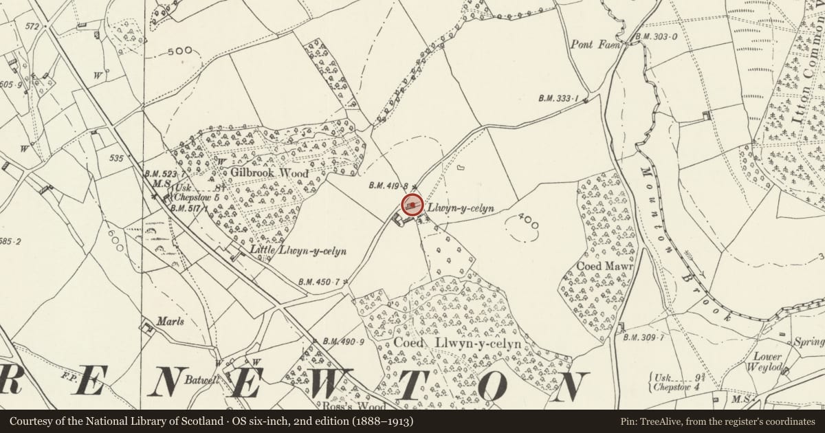 Ordnance Survey six-inch map, 2nd edition (1888–1913) covering the location of Llwyn-celyn Farmhouse, Shirenewton, Monmouthshire, with a pin at the register's coordinates