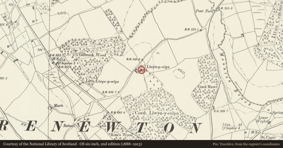 Ordnance Survey six-inch map, 2nd edition (1888–1913) covering the location of Barn at Llwyn-celyn Farm, Shirenewton, Monmouthshire, with a pin at the register's coordinates