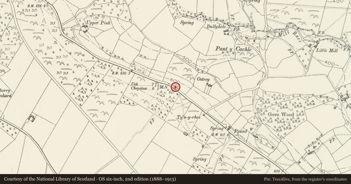 Ordnance Survey six-inch map, 2nd edition (1888–1913) covering the location of Milestone, Shirenewton, Monmouthshire, with a pin at the register's coordinates
