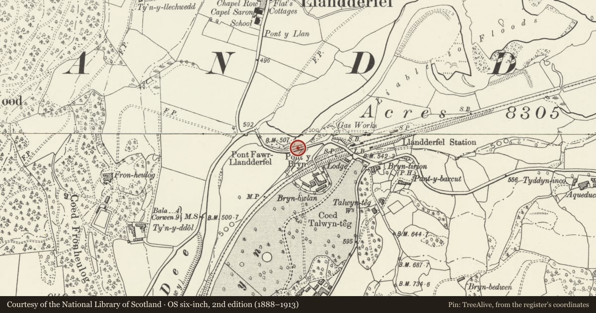Ordnance Survey six-inch map, 2nd edition (1888–1913) covering the location of Pont-y-Bryn including walls and parapets to carriageway adjoining to the E and W, Llandderfel, Gwynedd, with a pin at the register's coordinates