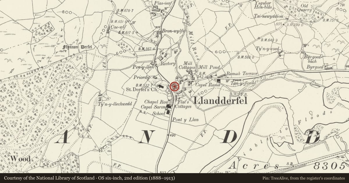 Ordnance Survey six-inch map, 2nd edition (1888–1913) covering the location of Outbuilding to the rear of Derfel Gadarn, Llandderfel, Gwynedd, with a pin at the register's coordinates