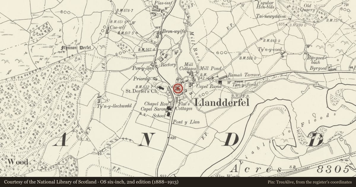 Ordnance Survey six-inch map, 2nd edition (1888–1913) covering the location of Former Carthouse adjacent to the Outbuilding to the rear of Derfel Gadarn, Llandderfel, Gwynedd, with a pin at the register's coordinates
