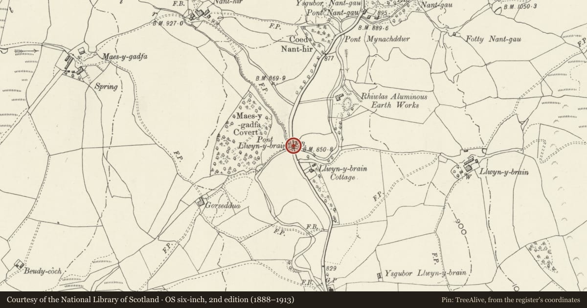 Ordnance Survey six-inch map, 2nd edition (1888–1913) covering the location of Pont Llwyn y Brain, Llandderfel, Gwynedd, with a pin at the register's coordinates