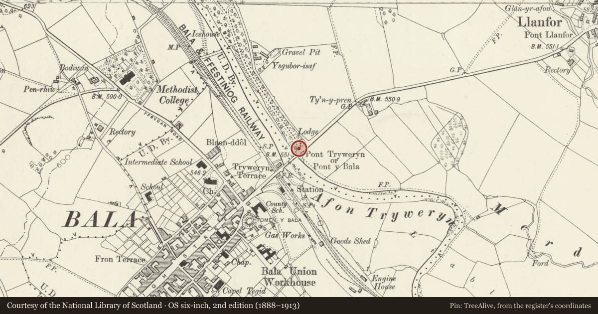 Ordnance Survey six-inch map, 2nd edition (1888–1913) covering the location of Gateway and Screen Walls to Rhiwlas, Llandderfel, Gwynedd, with a pin at the register's coordinates