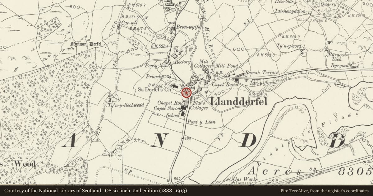 Ordnance Survey six-inch map, 2nd edition (1888–1913) covering the location of Berwynfa, Llandderfel, Gwynedd, with a pin at the register's coordinates