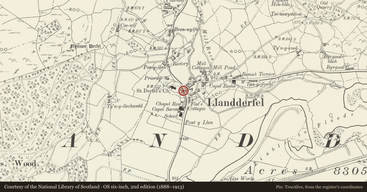 Ordnance Survey six-inch map, 2nd edition (1888–1913) covering the location of 11 Church Street, Llandderfel, Gwynedd, with a pin at the register's coordinates