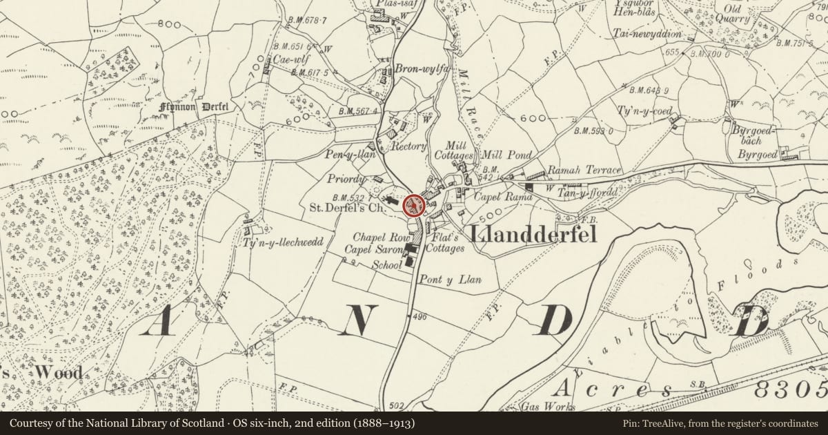 Ordnance Survey six-inch map, 2nd edition (1888–1913) covering the location of Bwthyn, Llandderfel, Gwynedd, with a pin at the register's coordinates