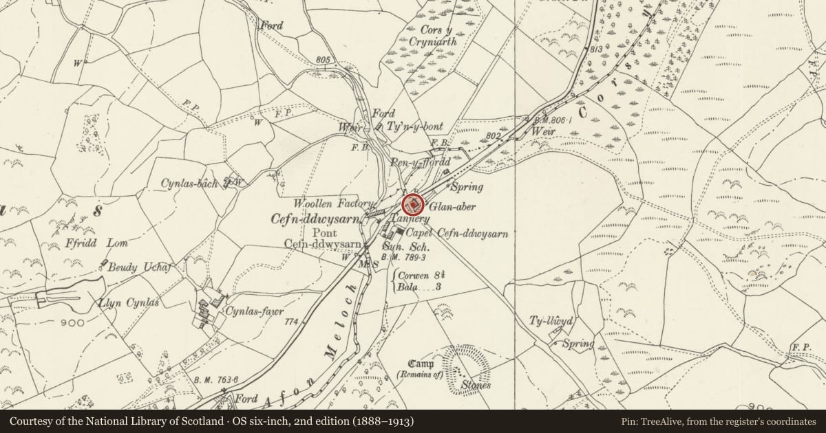 Ordnance Survey six-inch map, 2nd edition (1888–1913) covering the location of Ty Groes, Llandderfel, Gwynedd, with a pin at the register's coordinates