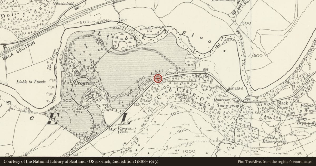 Ordnance Survey six-inch map, 2nd edition (1888–1913) covering the location of Lodge at Crogen Hall including adjoining Wall and Gatepiers, Llandderfel, Gwynedd, with a pin at the register's coordinates
