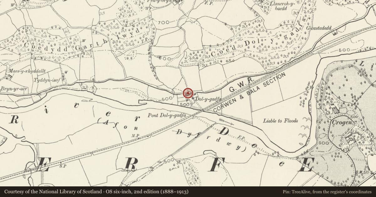 Ordnance Survey six-inch map, 2nd edition (1888–1913) covering the location of Dol-y-Gadfa, Llandderfel, Gwynedd, with a pin at the register's coordinates