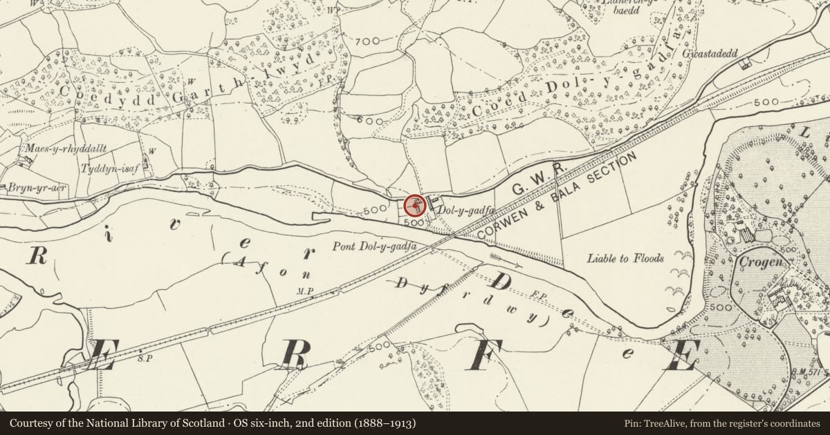 Ordnance Survey six-inch map, 2nd edition (1888–1913) covering the location of Barn and Carthouse Range at Dol-y-Gadfa, Llandderfel, Gwynedd, with a pin at the register's coordinates