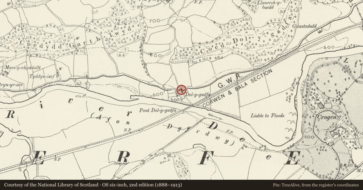 Ordnance Survey six-inch map, 2nd edition (1888–1913) covering the location of Agricultural Range to the E of Dol-y-Gadfa, Llandderfel, Gwynedd, with a pin at the register's coordinates