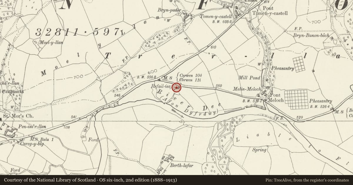 Ordnance Survey six-inch map, 2nd edition (1888–1913) covering the location of Refail Isaf including adjoining Pig Sty, Llandderfel, Gwynedd, with a pin at the register's coordinates