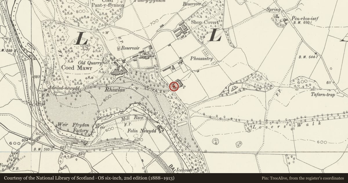 Ordnance Survey six-inch map, 2nd edition (1888–1913) covering the location of Quadrangular Stable Complex at Rhiwlas, including Y Stablau and Stablau Isa, Llandderfel, Gwynedd, with a pin at the register's coordinates
