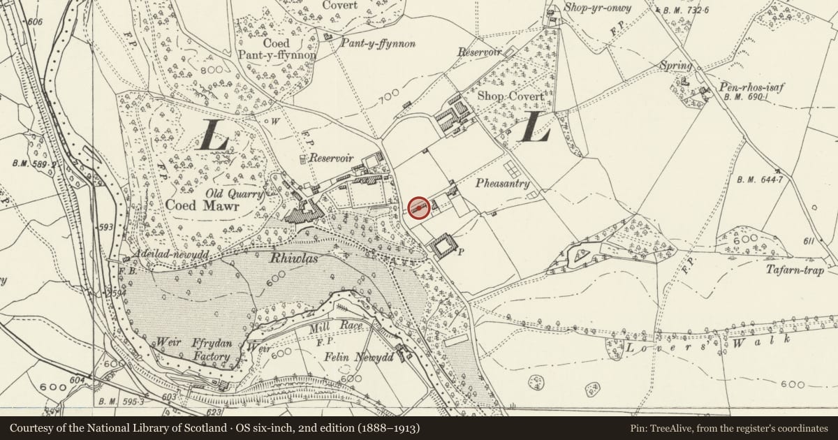 Ordnance Survey six-inch map, 2nd edition (1888–1913) covering the location of Game Larder at Rhiwlas, Llandderfel, Gwynedd, with a pin at the register's coordinates