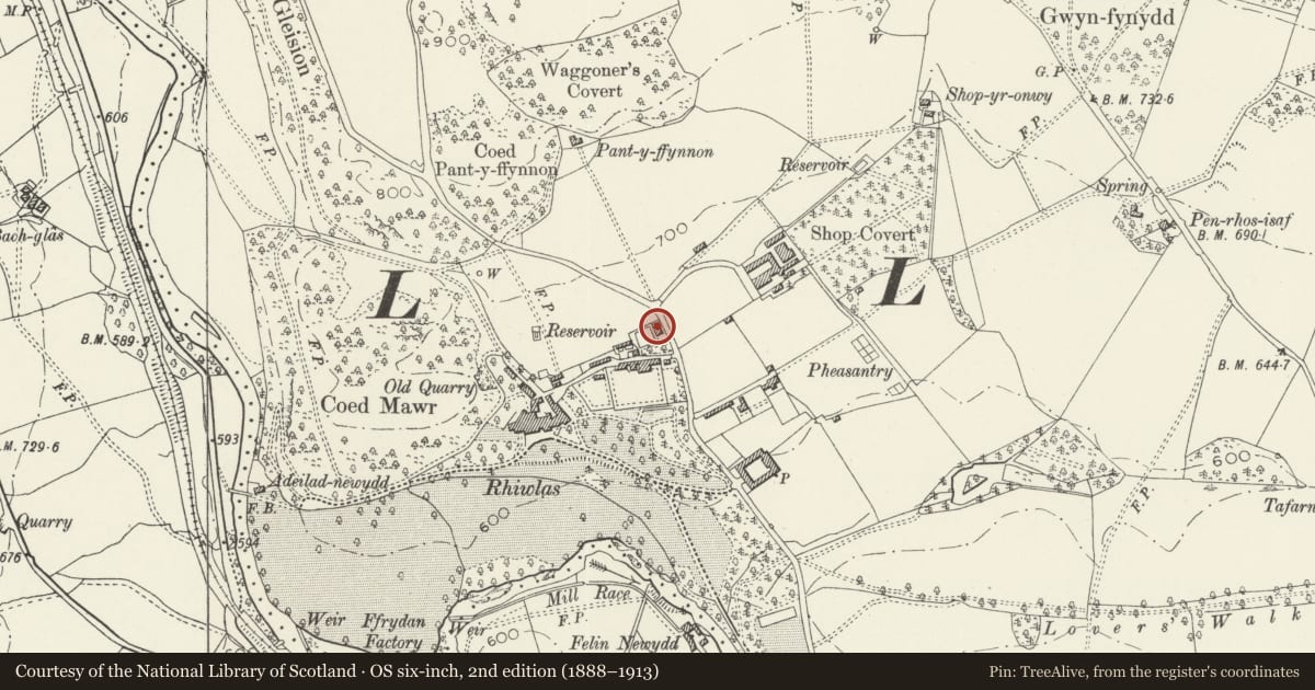 Ordnance Survey six-inch map, 2nd edition (1888–1913) covering the location of Bwthyn, Llandderfel, Gwynedd, with a pin at the register's coordinates