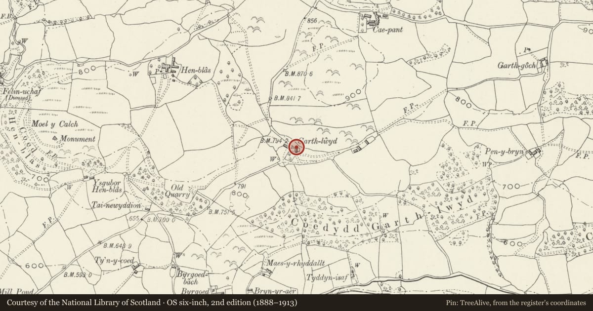 Ordnance Survey six-inch map, 2nd edition (1888–1913) covering the location of Agricultural Range at Garth-lwyd, Llandderfel, Gwynedd, with a pin at the register's coordinates