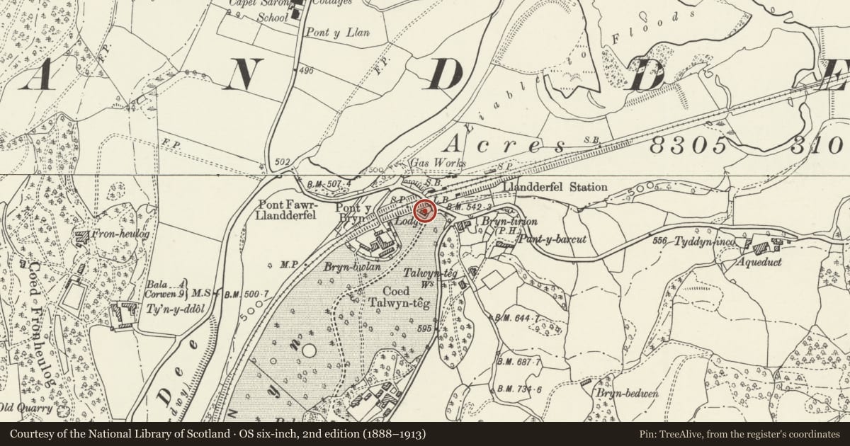 Ordnance Survey six-inch map, 2nd edition (1888–1913) covering the location of Ty Bryn (Lodge to Pale Hall), Llandderfel, Gwynedd, with a pin at the register's coordinates