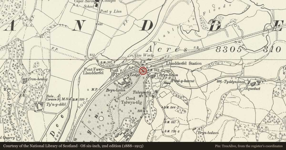 Ordnance Survey six-inch map, 2nd edition (1888–1913) covering the location of Gates, Gatepiers and Screen Walls at Pale Hall, Llandderfel, Gwynedd, with a pin at the register's coordinates