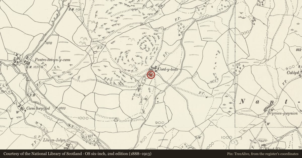 Ordnance Survey six-inch map, 2nd edition (1888–1913) covering the location of Former Steward's House at Coed-y-Bedo, Llandderfel, Gwynedd, with a pin at the register's coordinates