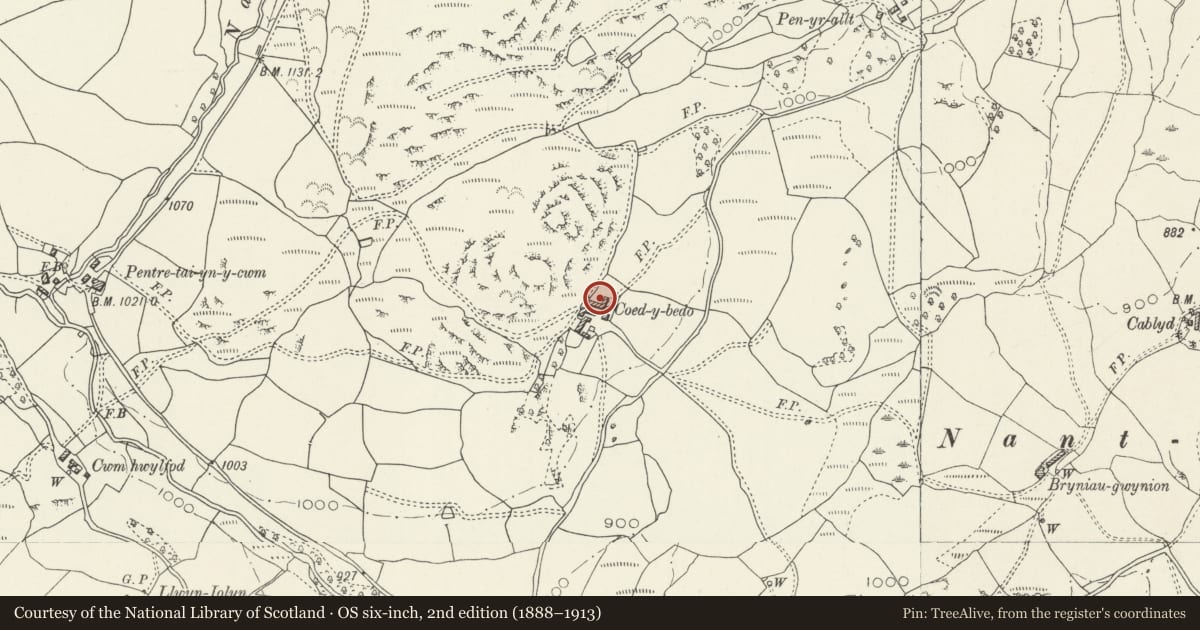 Ordnance Survey six-inch map, 2nd edition (1888–1913) covering the location of Large Cowhouse at Coed-y-Bedo, Llandderfel, Gwynedd, with a pin at the register's coordinates