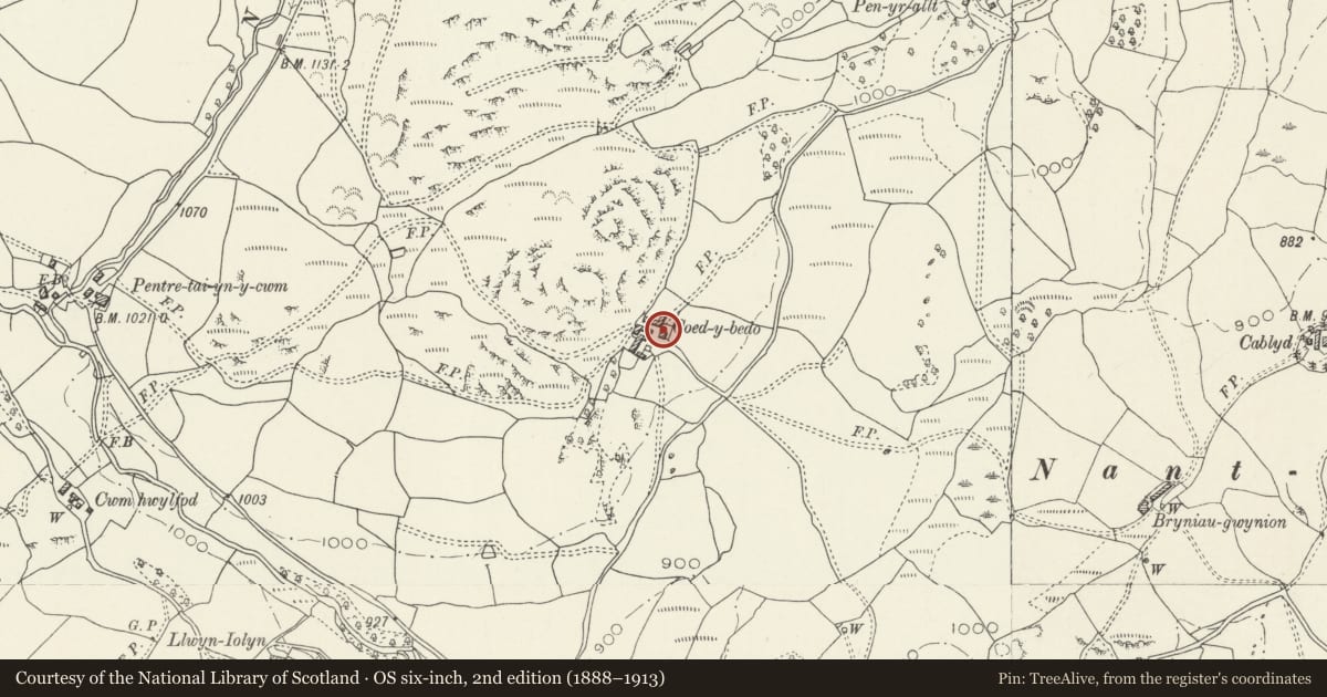 Ordnance Survey six-inch map, 2nd edition (1888–1913) covering the location of Small Cowhouse at Coed-y-Bedo, Llandderfel, Gwynedd, with a pin at the register's coordinates