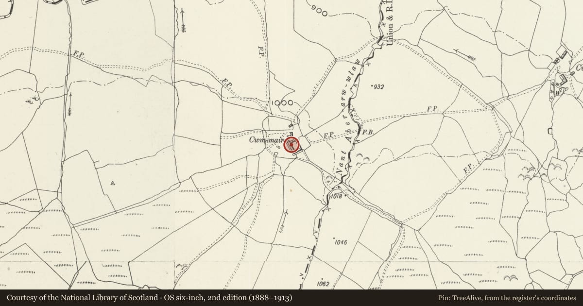 Ordnance Survey six-inch map, 2nd edition (1888–1913) covering the location of Agricultural complex at Cwm Main, Llandderfel, Gwynedd, with a pin at the register's coordinates