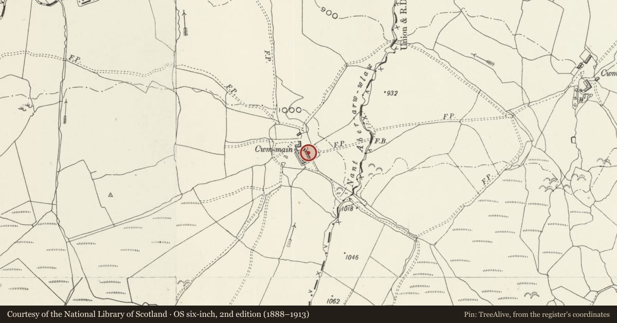 Ordnance Survey six-inch map, 2nd edition (1888–1913) covering the location of Carthouse block at Cwm Main, Llandderfel, Gwynedd, with a pin at the register's coordinates
