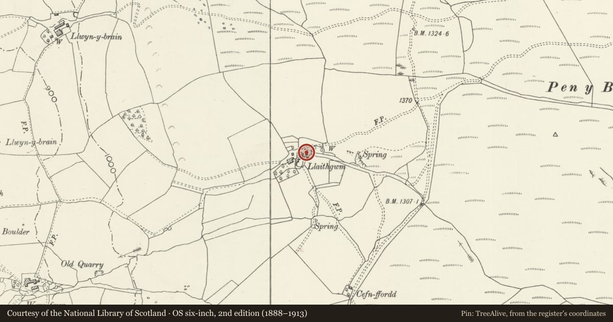 Ordnance Survey six-inch map, 2nd edition (1888–1913) covering the location of Carthouse at Llaithgwm, Llandderfel, Gwynedd, with a pin at the register's coordinates