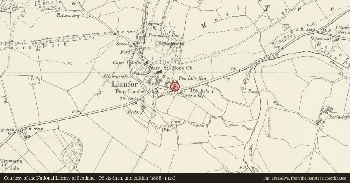 Ordnance Survey six-inch map, 2nd edition (1888–1913) covering the location of Pen-Isa'r-Llan, Llandderfel, Gwynedd, with a pin at the register's coordinates