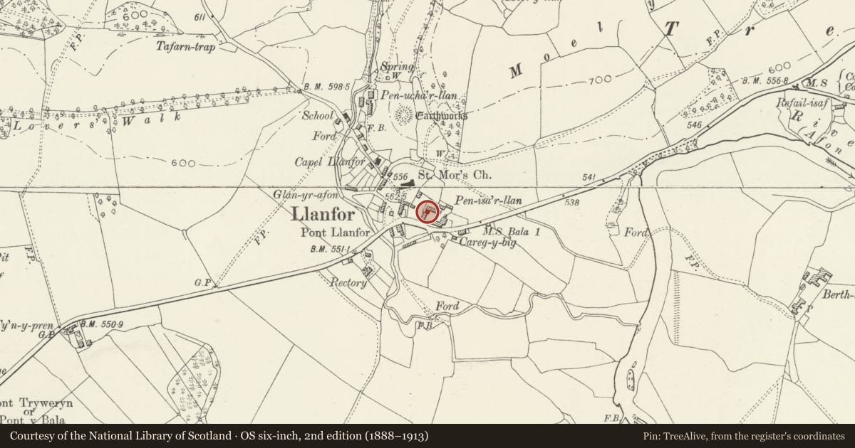 Ordnance Survey six-inch map, 2nd edition (1888–1913) covering the location of L-shaped Agricultural Range at Pen-Isa'r-Llan, Llandderfel, Gwynedd, with a pin at the register's coordinates