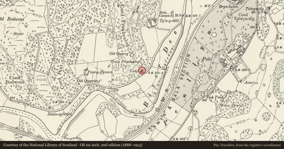 Ordnance Survey six-inch map, 2nd edition (1888–1913) covering the location of Fron Heulog Lodge including Gate and Gatepiers, Llandderfel, Gwynedd, with a pin at the register's coordinates