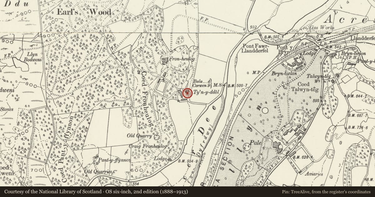 Ordnance Survey six-inch map, 2nd edition (1888–1913) covering the location of Ty'n-y-Ddol, Llandderfel, Gwynedd, with a pin at the register's coordinates
