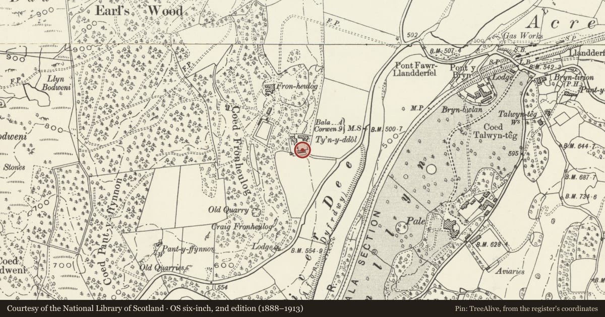 Ordnance Survey six-inch map, 2nd edition (1888–1913) covering the location of Carthouse and Stable Range at Ty'n-y-Ddol, Llandderfel, Gwynedd, with a pin at the register's coordinates