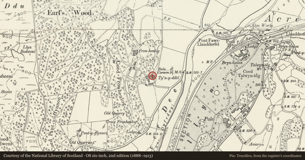 Ordnance Survey six-inch map, 2nd edition (1888–1913) covering the location of Pig Sty and Store Block at Ty'n-y-Ddol, Llandderfel, Gwynedd, with a pin at the register's coordinates