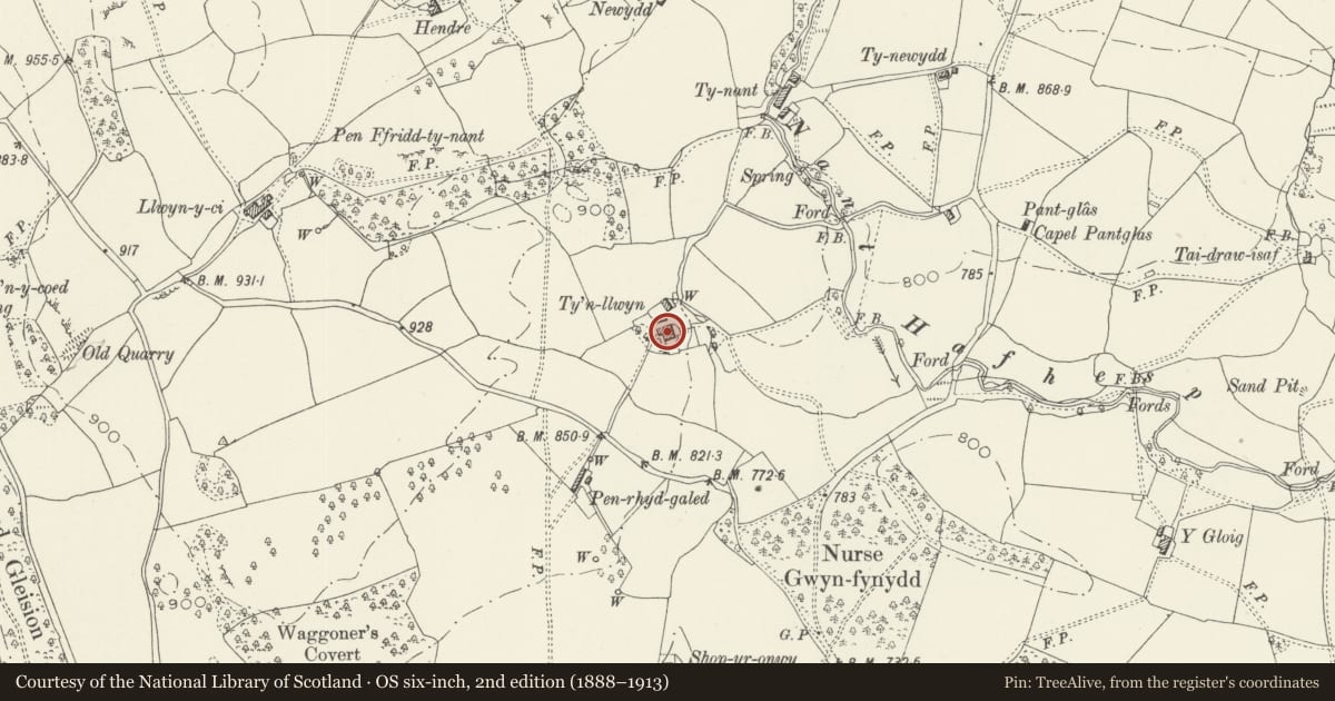 Ordnance Survey six-inch map, 2nd edition (1888–1913) covering the location of Ty'n Llwyn including Agricultural Range to N, Llandderfel, Gwynedd, with a pin at the register's coordinates
