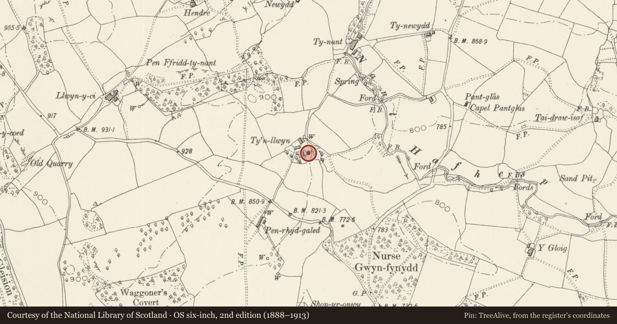 Ordnance Survey six-inch map, 2nd edition (1888–1913) covering the location of Carthouse at Ty'n Llwyn, Llandderfel, Gwynedd, with a pin at the register's coordinates