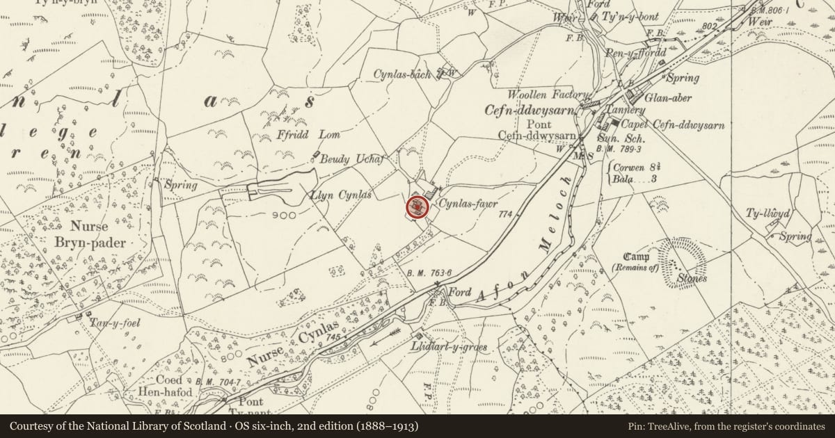 Ordnance Survey six-inch map, 2nd edition (1888–1913) covering the location of Cynlas Fawr including adjoining Carthouse, Llandderfel, Gwynedd, with a pin at the register's coordinates