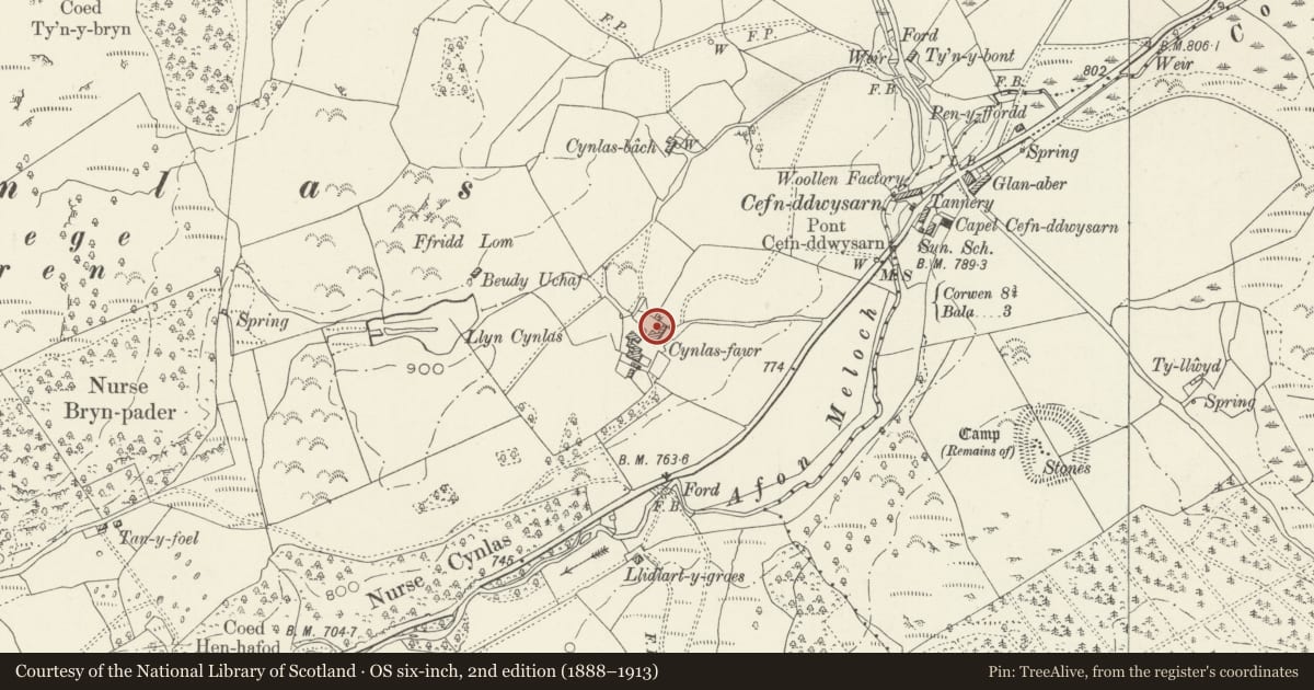 Ordnance Survey six-inch map, 2nd edition (1888–1913) covering the location of Agricultural Range at Cynlas Fawr, Llandderfel, Gwynedd, with a pin at the register's coordinates
