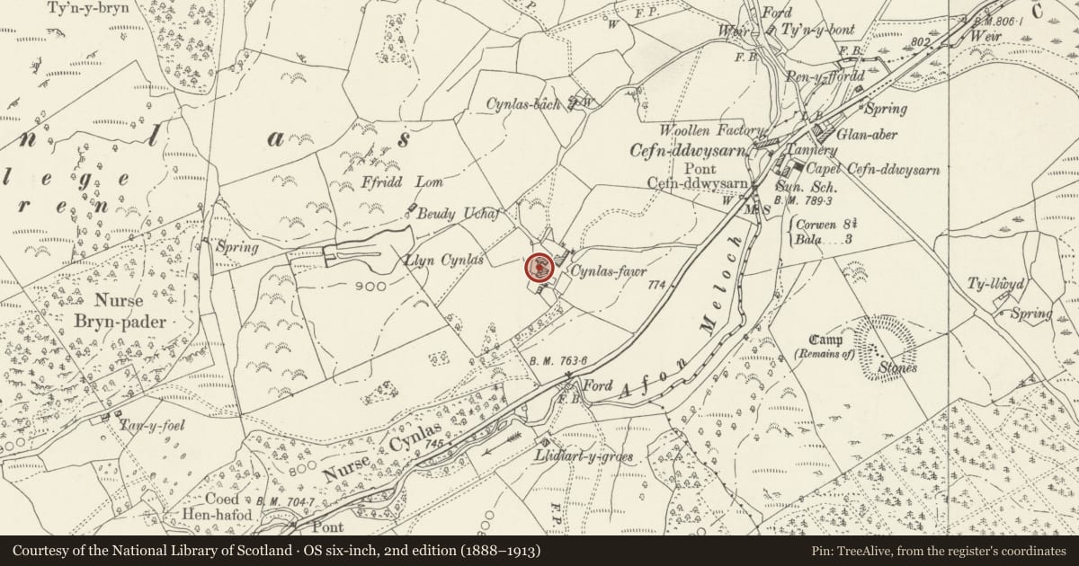 Ordnance Survey six-inch map, 2nd edition (1888–1913) covering the location of Haybarn at Cynlas Fawr, Llandderfel, Gwynedd, with a pin at the register's coordinates