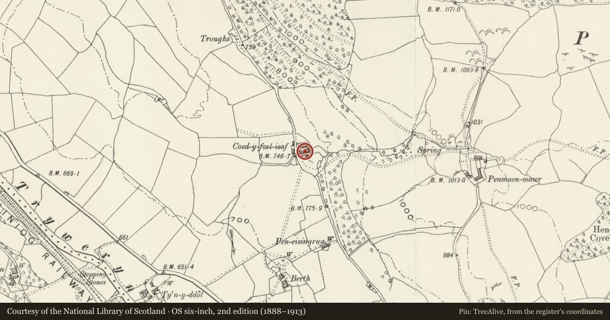 Ordnance Survey six-inch map, 2nd edition (1888–1913) covering the location of Coed-y-Foel Isaf including adjoining Agricultural Range, Llandderfel, Gwynedd, with a pin at the register's coordinates