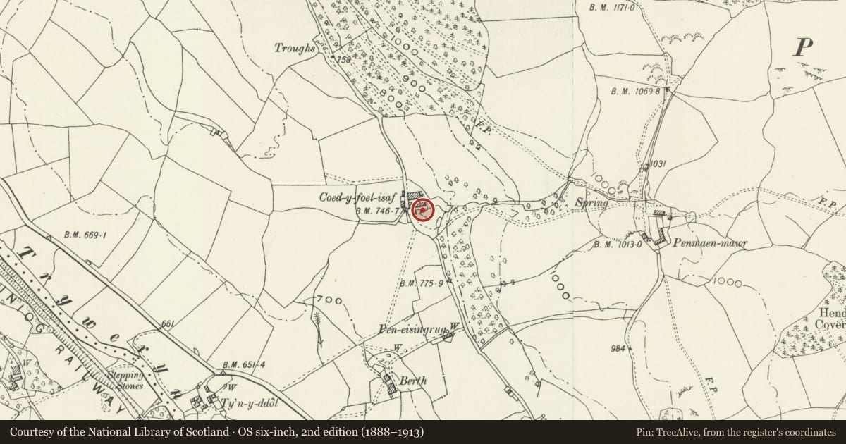 Ordnance Survey six-inch map, 2nd edition (1888–1913) covering the location of Brewhouse at Coed-y-Foel Isaf, Llandderfel, Gwynedd, with a pin at the register's coordinates