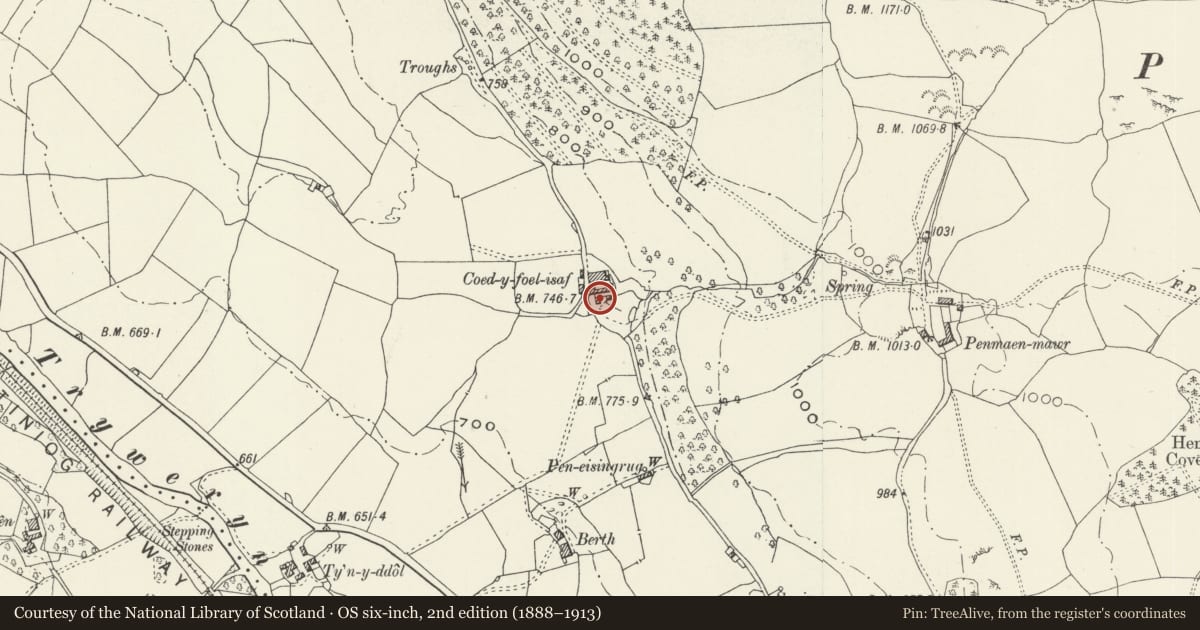 Ordnance Survey six-inch map, 2nd edition (1888–1913) covering the location of Outhouse at Coed-y-Foel Isaf, Llandderfel, Gwynedd, with a pin at the register's coordinates