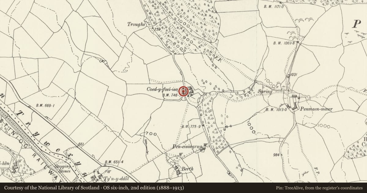Ordnance Survey six-inch map, 2nd edition (1888–1913) covering the location of Carthouse and Pigsty at Coed-y-Foel Isaf, Llandderfel, Gwynedd, with a pin at the register's coordinates