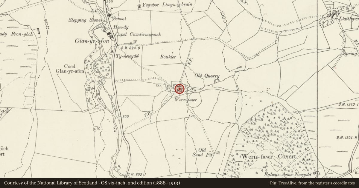 Ordnance Survey six-inch map, 2nd edition (1888–1913) covering the location of Wern Fawr, Llandderfel, Gwynedd, with a pin at the register's coordinates