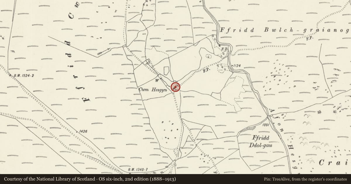 Ordnance Survey six-inch map, 2nd edition (1888–1913) covering the location of Cwm Hesgyn, Llandderfel, Gwynedd, with a pin at the register's coordinates