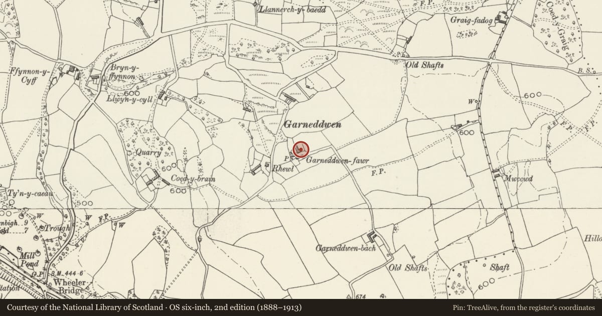 Ordnance Survey six-inch map, 2nd edition (1888–1913) covering the location of Barn with attached stable and pigsties at Garneddwen Fawr, Ysceifiog, Flintshire, with a pin at the register's coordinates
