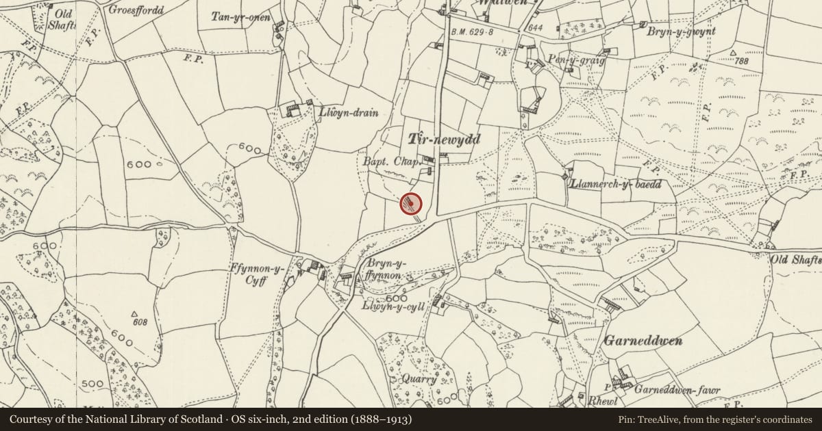 Ordnance Survey six-inch map, 2nd edition (1888–1913) covering the location of Pen-ffynnon-y-cyff, Ysceifiog, Flintshire, with a pin at the register's coordinates